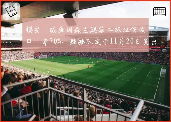 锡安·威廉姆森左腿筋二级拉伤恢复率70%,鹈鹕队定于11月20日复出