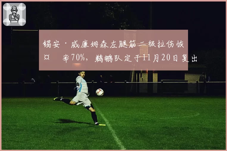 锡安·威廉姆森左腿筋二级拉伤恢复率70%，鹈鹕队定于11月20日复出