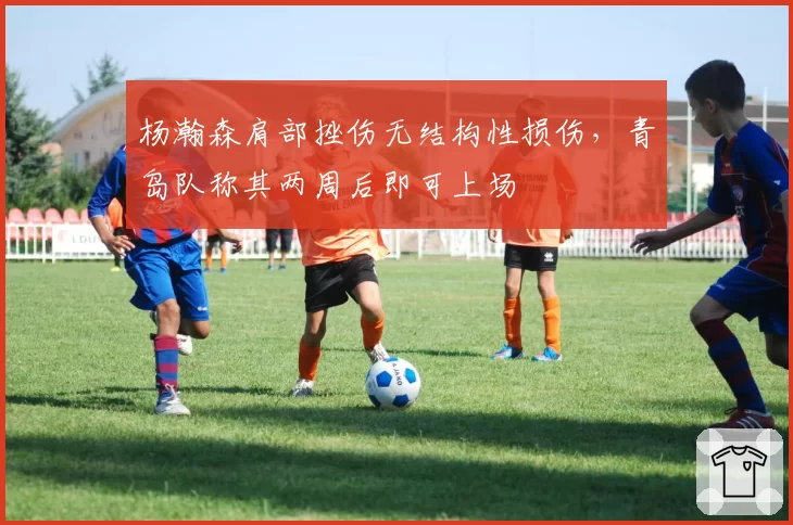 杨瀚森肩部挫伤无结构性损伤,青岛队称其两周后即可上场
