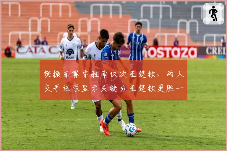 樊振东赛季胜率仅次王楚钦，两人交手记录显示关键分王楚钦更胜一筹