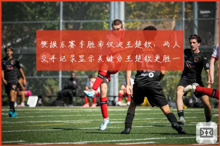 樊振东赛季胜率仅次王楚钦,两人交手记录显示关键分王楚钦更胜一筹